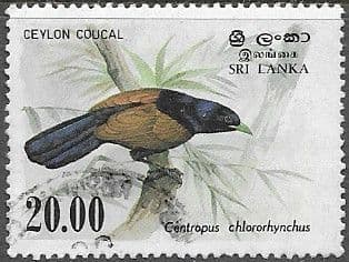 Sri Lanka 1983 Birds (2nd series) SG 830 Fine Used