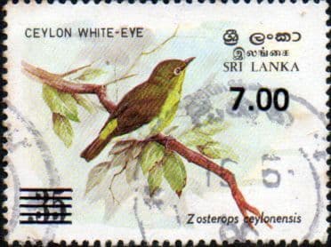 Sri Lanka 1985 Birds Surcharged SG 921 Fine Used