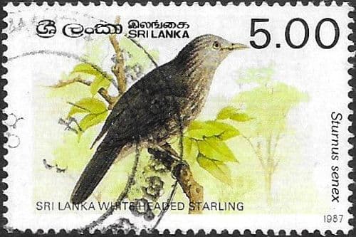 Sri Lanka 1987 Birds (3rd series) SG 987B Fine Used
