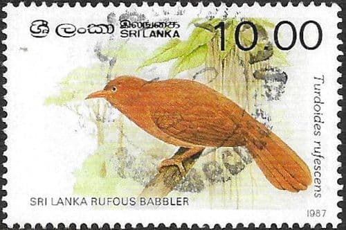 Sri Lanka 1987 Birds (3rd series) SG 988B Fine Used