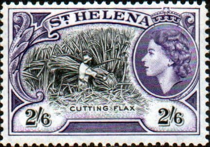 St Helena 1953 Cutting flax SG 163 Fine Mint