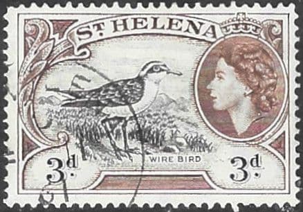 St Helena 1953 Wire Bird SG 158 Fine Used