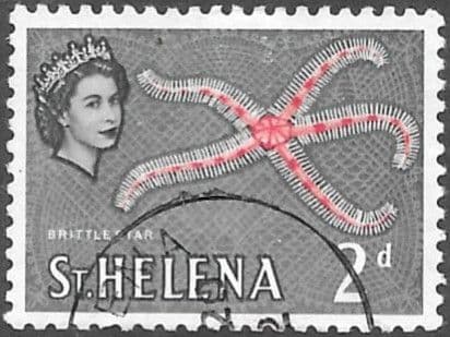 St Helena 1961 Brittle Star Fish II SG 178 Fine Used