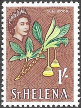 St Helena 1961 Gumwood flower SG 184 Fine Mint