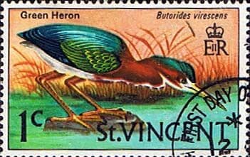 St Vincent 1970 Birds SG 286 Green Heron Fine Used