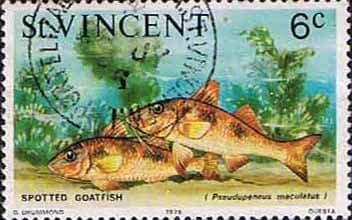 St Vincent 1975 Fish SG 427 Spotted Goatfish Fine Used