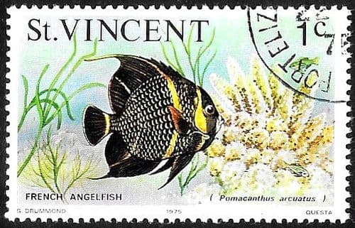 St Vincent 1975 Marine life SG 422 French Angel Fish Fine Used