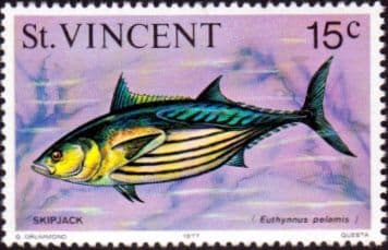 St Vincent 1975 Marine life SG 432 Skipjack Tuna Fine Mint