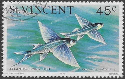 St Vincent 1975 Marine life SG 436 Atlantic flyingfish Fine Used