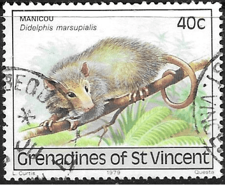 St Vincent Grenadines 1979 Wildlife SG 150 Fine Used