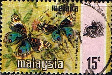 State of Malacca 1971 Butterflies SG 75 Fine Used