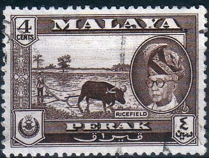 State of Perak 1957 SG 152 Rice Field Fine Used