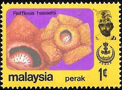 State of Perak 1979 Flowers SG 184 Fine Mint