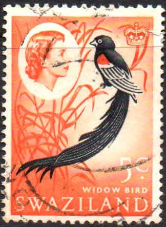 Swaziland 1962 SG 96 Willow Bird Fine Used