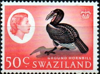Swaziland 1962 SG103 Ground Hornbill Fine Mint