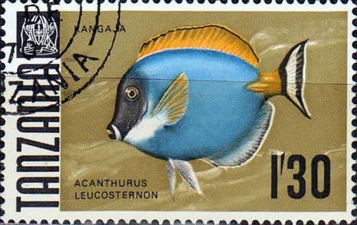 Tanzania 1967 Fish SG 152 Fine Used