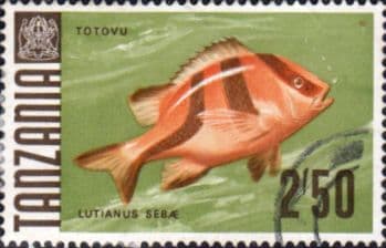 Tanzania 1967 Fish SG 154a Fine Used