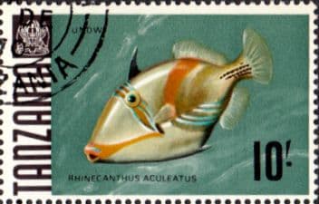Tanzania 1967 Fish SG 156a Fine Used