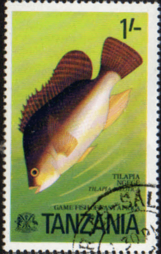Tanzania 1977 Game Fish SG 193 Fine Used