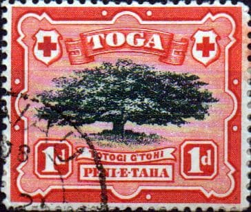 Tonga 1897 SG 39 Ovava Tree Fine Used