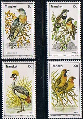 Transkei 1980 Birds Set Fine Mint