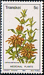 Transkei 1981 Medicinal Plants SG 88 Fine Mint