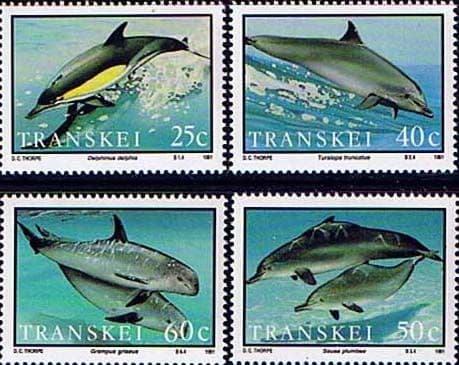 Transkei 1991 Dolphins Set Fine Mint