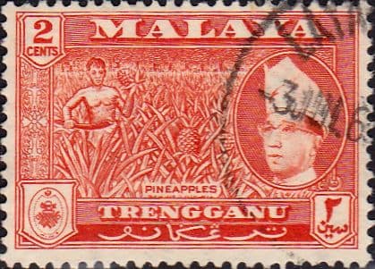 Trengganu 1957 SG 90a Pineapples Fine Used
