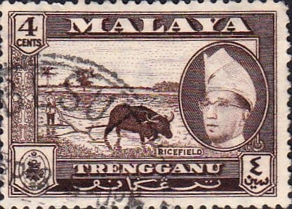 Trengganu 1957 SG 91 Rice Field Fine Used