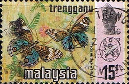 Trengganu 1971 Butterflies SG 117a Fine Used