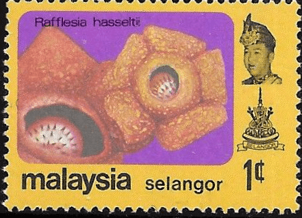Trengganu 1979 Flowers SG 118 Fine Mint