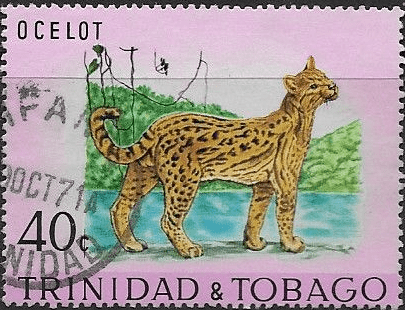 Trinidad and Tobago 1971 Wildlife SG 396 Fine Used