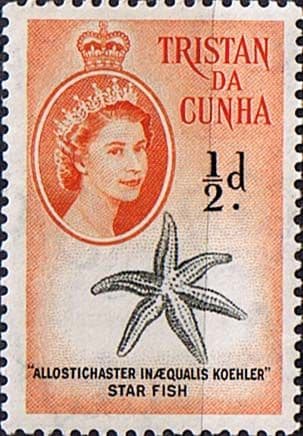 Tristan Da Cunha 1960 SG 28 Starfish Fine Mint