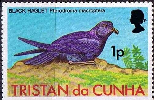 Tristan Da Cunha 1977 Birds SG 220 Fine Mint