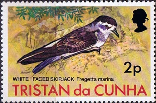 Tristan Da Cunha 1977 Birds SG 221 Fine Mint