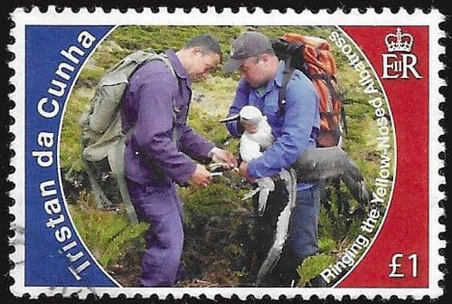 Tristan Da Cunha 2010 Conservation SG 1002 Fine Used