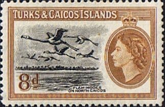 Turks and Caicos Island 1955 SG 236 Flamingoes Fine Mint