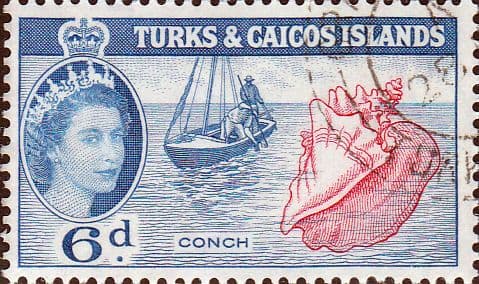 Turks and Caicos Island 1957 SG 244 Conch Fine Used