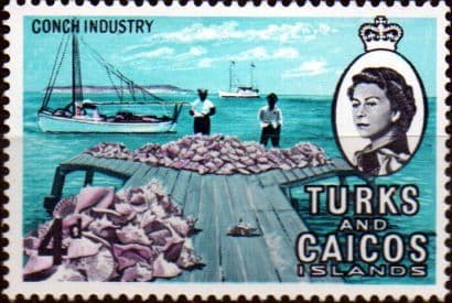 Turks and Caicos Island 1967 SG 278 Conch Industry Fine Mint