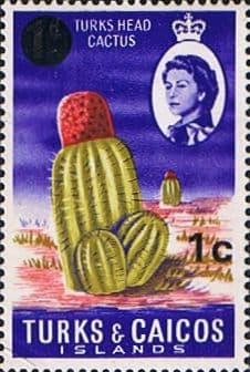 Turks and Caicos Island 1969 Industries Decimal Surch. SG 298 Fine Mint