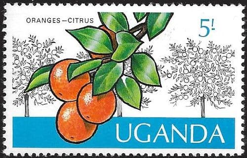 Uganda 1975 Flowers SG 159a Fine Used