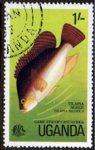 Uganda 1977 Game Fish of East Africa SG 179 Fine Used
