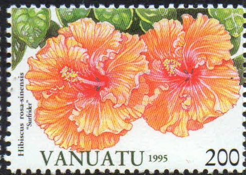 Vanuatu 1995 Hibiscus Flowers SG 686 Fine Mint
