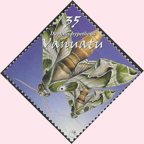 Vanuatu 2003 Moths SG 919 Fine Mint