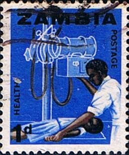 Zambia 1964 Industries SG 95 Fine Used