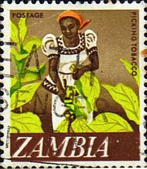 Zambia 1968 Decimal Currency SG 134 Fine Used