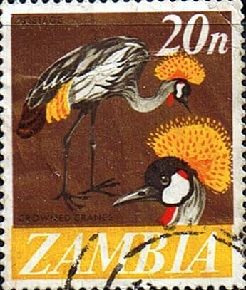 Zambia 1968 Decimal Currency SG 136 Fine Used