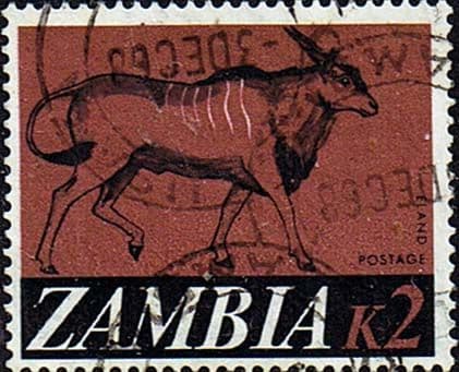 Zambia 1968 Decimal Currency SG 140 Fine Used