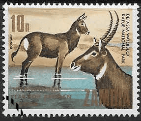 Zambia 1969 International African Tourist Year SG 148 Fine Used