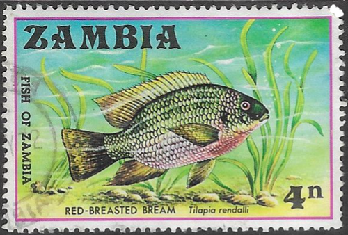 Zambia 1971 Fish SG 165 Fine Used
